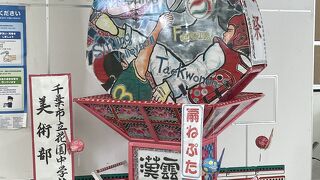 ハスの花の鉢植えがあります。