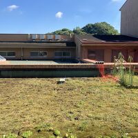 窓は中庭に面していて眺望はなし