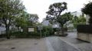 境内に朝顔の井戸があります