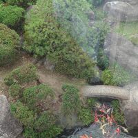 庭には鯉が泳いでいて、エサやりもできるようです。