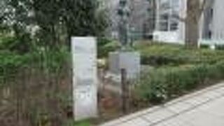 整備された公園