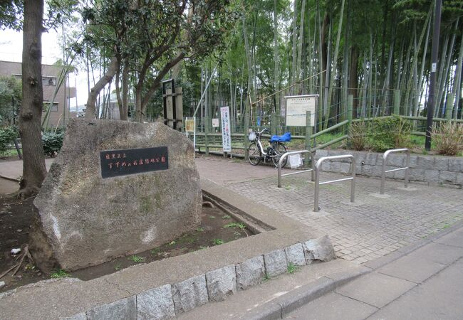 大学公園 クチコミ・アクセス・営業時間｜クラクフ【フォー