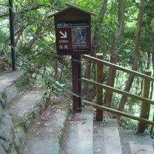 釜滝へ行く途中の階段