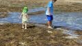 干潮時には注意！