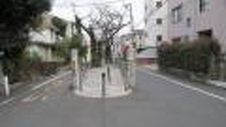 碑文谷八幡宮前から伸びる