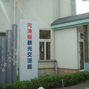 河津桜観光交流館で農産物も販売していました