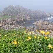 6月には海霧の出ることが多いですが、却って幻想的な風景も楽しめます。