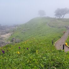 展望台から南へ伸びているみちのく潮風トレイル。