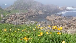 6月には海霧の出ることが多いですが、却って幻想的な風景も楽しめます。