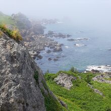 展望台から北側の海岸線。