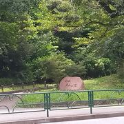 広くてきれいな公園