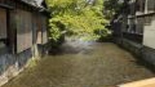 祇園界隈を流れる白川