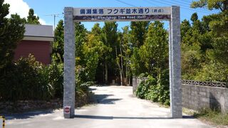 人のいない早朝がいい