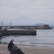 ハトと江ノ島と富士山