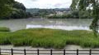 大きくはないダム湖です。