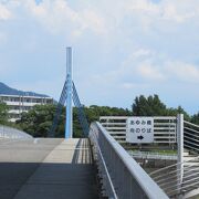 歩行者と自転車の専用橋なのよ