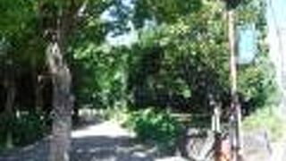 大きな都市公園