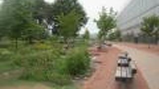 雨天時や酷暑の際は、凌ぐ場所探しに苦労します