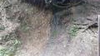 正法寺の裏にあります。