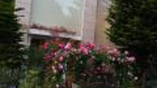 一年中、きれいな植物があって、必見