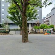 都会にある公園