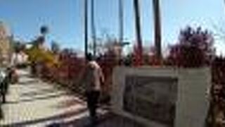 亜熱帯の植物もあって、雰囲気は最高