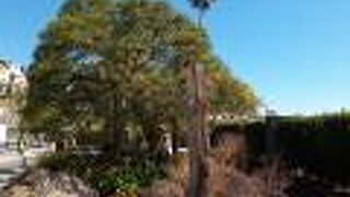 周辺の散策は、超おすすめ