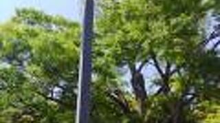 普通に通れる歩けるようになりました