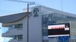 パドックを見て楽しめます。