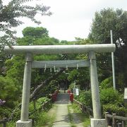 真夏の厳島神社