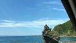 タヌキに見える