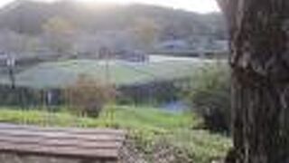 高台に登ってみよう