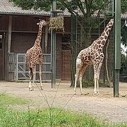 子連れにおすすめ、中央駅からもすぐ。