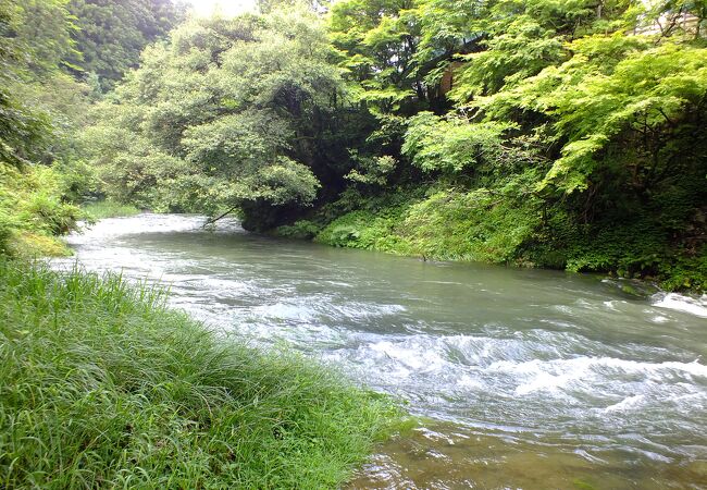 閑かな遊歩道