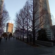 横浜ランドマークタワーと調和した絶景が素晴らしかったでした。