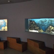 館内プチ水族館