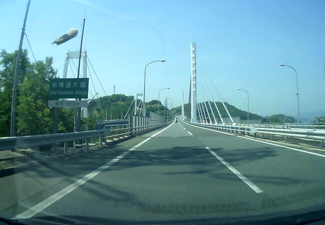 本州と向島を結ぶ斜張橋です。