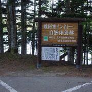 雌阿寒岳の山麓にある神秘的な湖