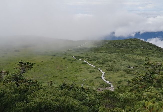 整備されてる！