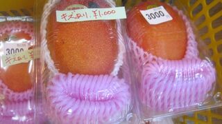 7月下旬には、マンゴーも販売していました