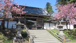 豪華絢爛「中尊寺」！