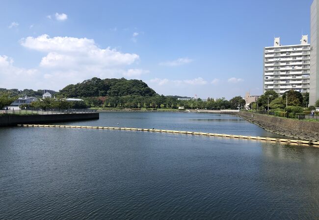 富岡八幡公園プールがあります。