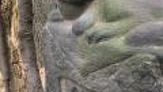 供養塚の猫をなでなでしよう