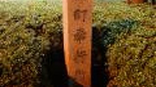 江戸幕府が設置した遠国奉行の1つ