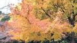 タバコ族がいっぱい