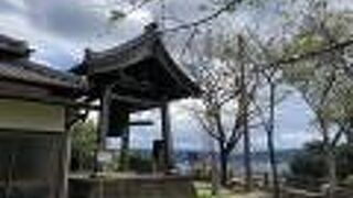 朝のお散歩に最適