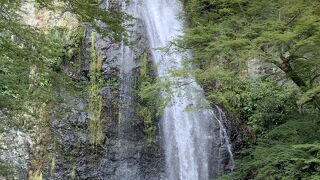 落差33mの大きさ