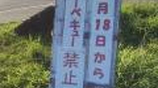 舟渡池公園