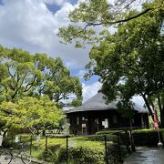 千葉公園にあります。