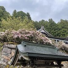 登る価値大あり